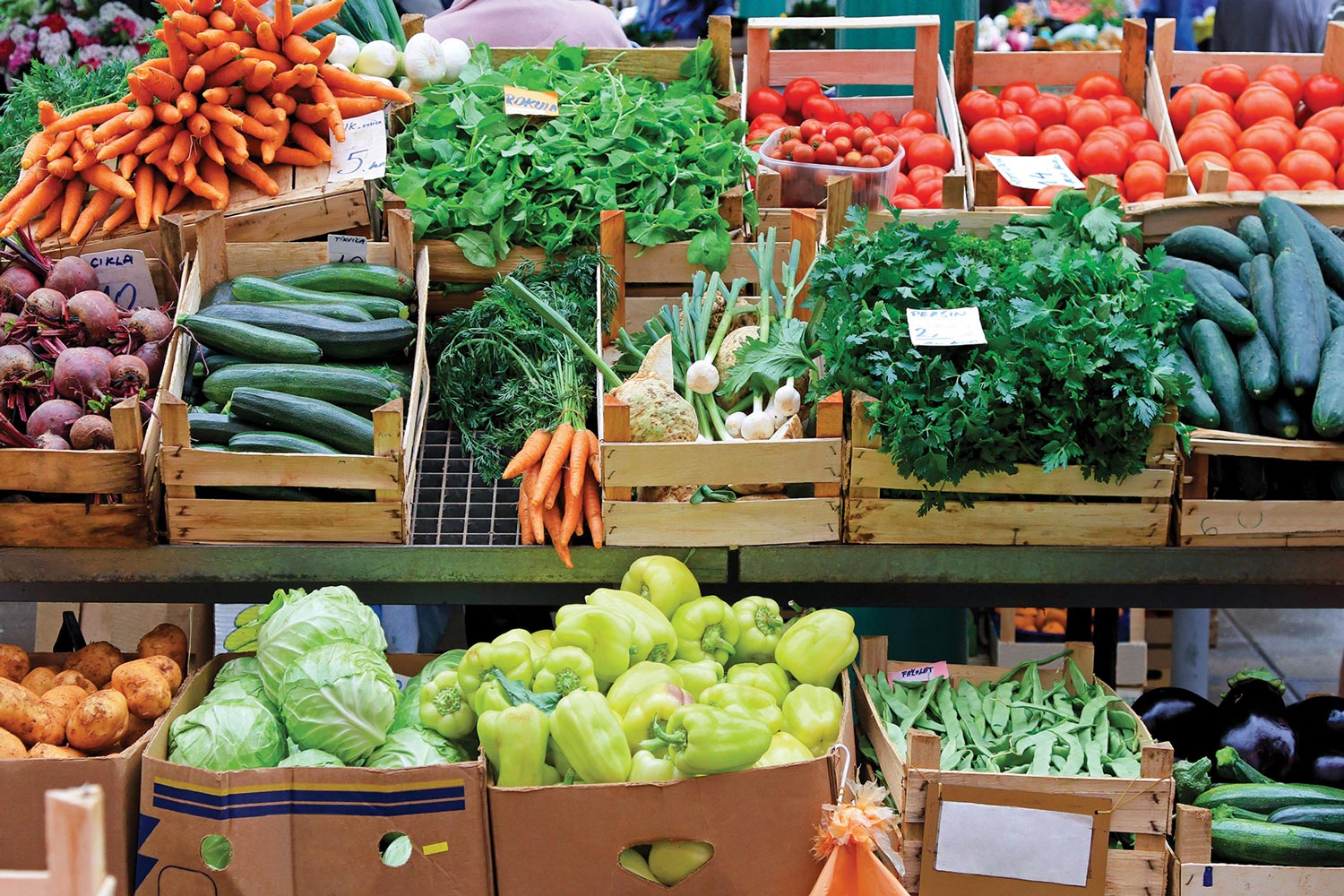 fresh vegetables at a market