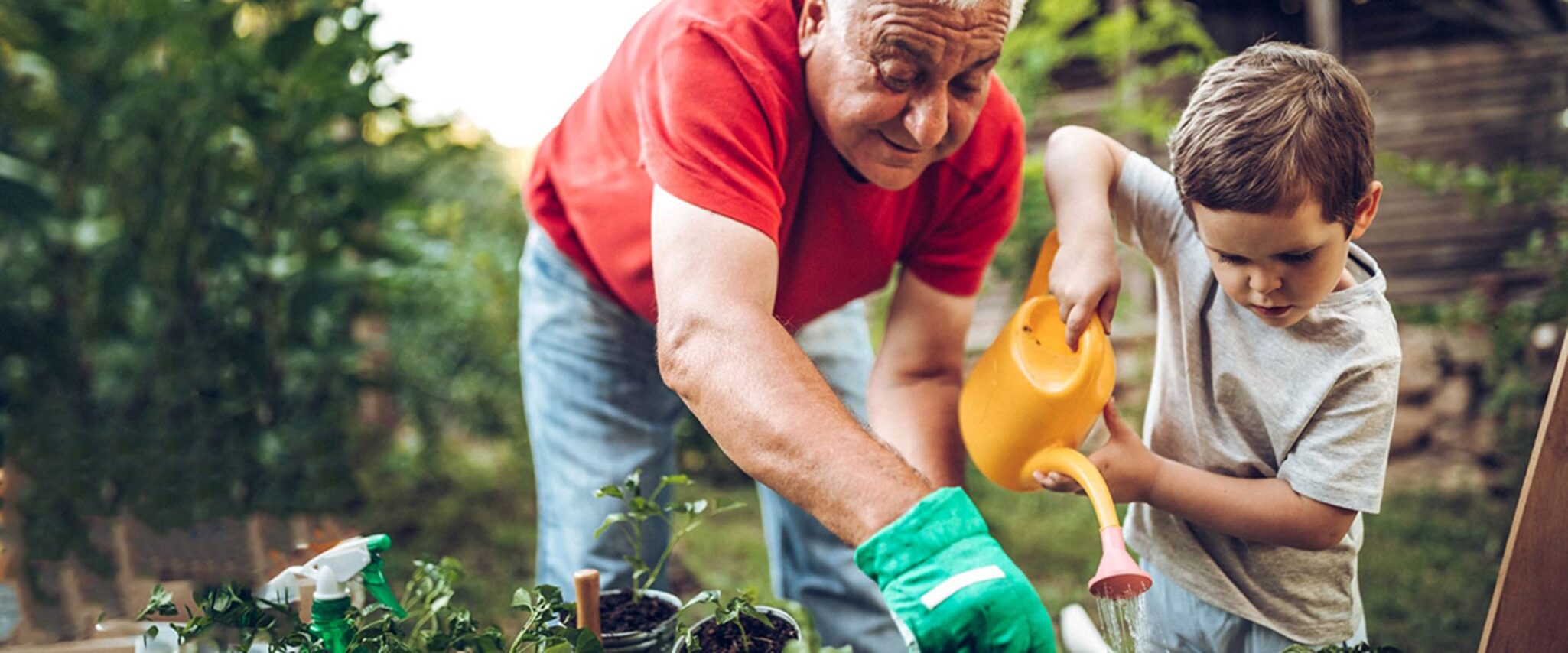 A senior man gardens with his grandson